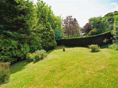 Picture 24